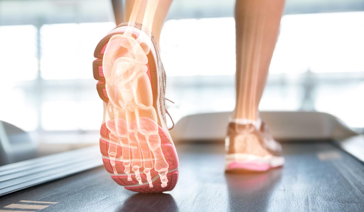 training_tapis_course training_tapis_course